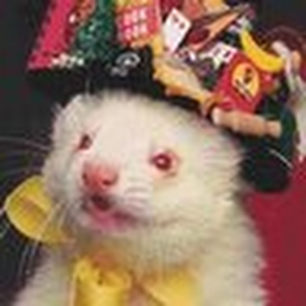 Meet your Posher, Mo